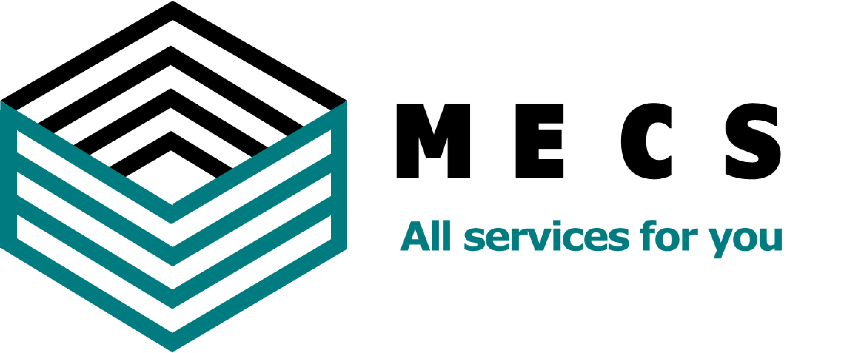 MECS LAOS Logo